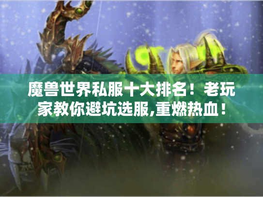 魔兽世界私服十大排名!老玩家教你避坑选服,重燃热血! 魔兽世界私服十大排名!老玩家教你避坑选服,重燃热血!