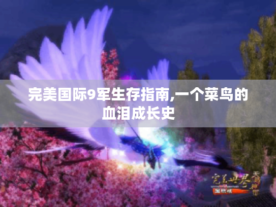 完美国际9军生存指南,一个菜鸟的血泪成长史 完美国际9军生存指南,一个菜鸟的血泪成长史