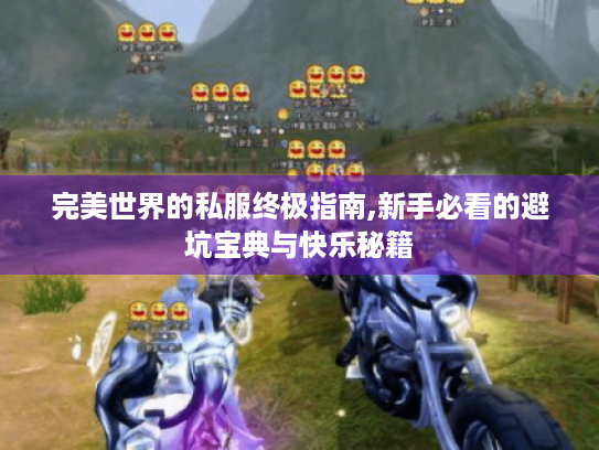 完美世界的私服终极指南,新手必看的避坑宝典与快乐秘籍 完美世界的私服终极指南,新手必看的避坑宝典与快乐秘籍