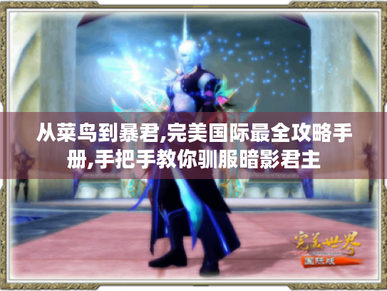 从菜鸟到暴君,完美国际最全攻略手册,手把手教你驯服暗影君主 从菜鸟到暴君,完美国际最全攻略手册,手把手教你驯服暗影君主