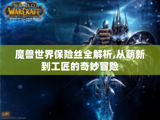 魔兽世界保险丝全解析,从萌新到工匠的奇妙冒险 魔兽世界保险丝全解析,从萌新到工匠的奇妙冒险