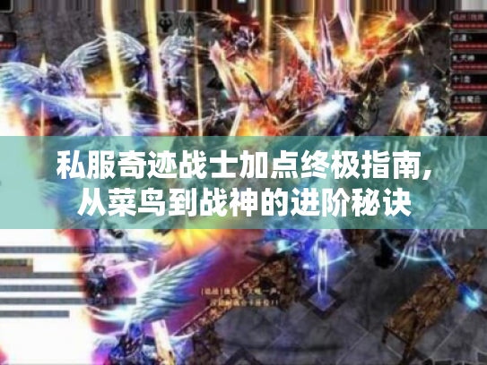 私服奇迹战士加点终极指南,从菜鸟到战神的进阶秘诀 私服奇迹战士加点终极指南,从菜鸟到战神的进阶秘诀