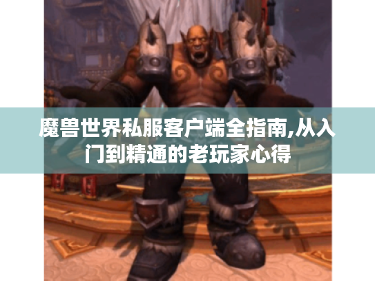 魔兽世界私服客户端全指南,从入门到精通的老玩家心得 魔兽世界私服客户端全指南,从入门到精通的老玩家心得