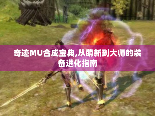 奇迹MU合成宝典,从萌新到大师的装备进化指南 奇迹MU合成宝典,从萌新到大师的装备进化指南