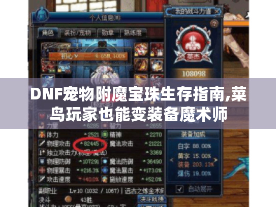 DNF宠物附魔宝珠生存指南,菜鸟玩家也能变装备魔术师 DNF宠物附魔宝珠生存指南,菜鸟玩家也能变装备魔术师