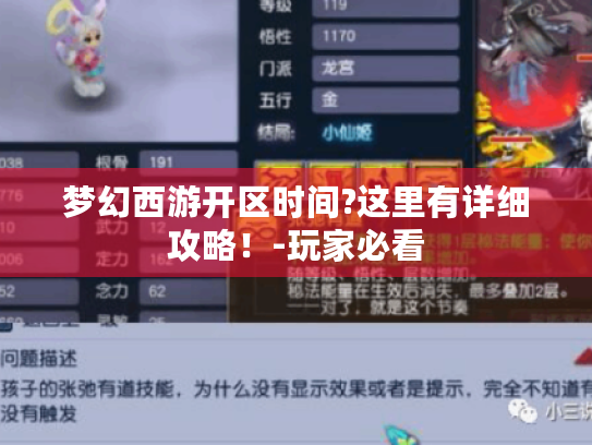 梦幻西游开区时间?这里有详细攻略!-玩家必看 梦幻西游开区时间?这里有详细攻略!-玩家必看