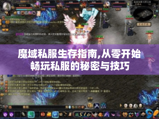 魔域私服生存指南,从零开始畅玩私服的秘密与技巧 魔域私服生存指南,从零开始畅玩私服的秘密与技巧