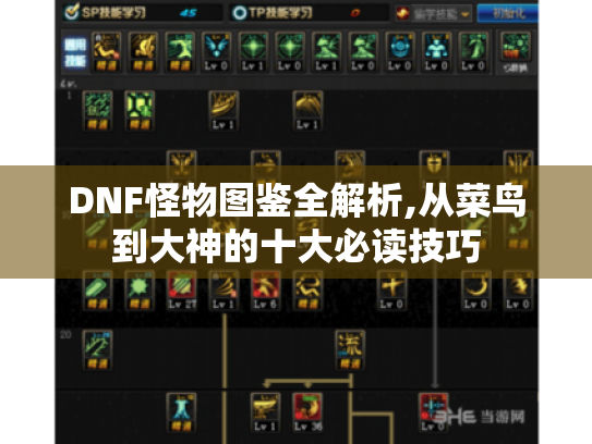 DNF怪物图鉴全解析,从菜鸟到大神的十大必读技巧 DNF怪物图鉴全解析,从菜鸟到大神的十大必读技巧