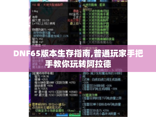 DNF65版本生存指南,普通玩家手把手教你玩转阿拉德