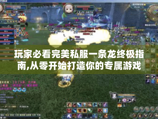 玩家必看完美私服一条龙终极指南,从零开始打造你的专属游戏天堂 玩家必看完美私服一条龙终极指南,从零开始打造你的专属游戏天堂