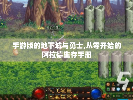 手游版的地下城与勇士,从零开始的阿拉德生存手册 手游版的地下城与勇士,从零开始的阿拉德生存手册