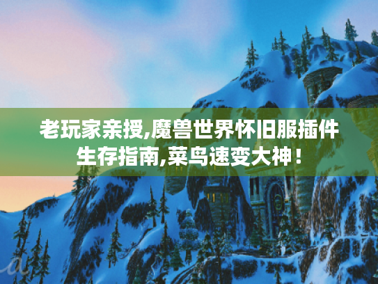 老玩家亲授,魔兽世界怀旧服插件生存指南,菜鸟速变大神! 老玩家亲授,魔兽世界怀旧服插件生存指南,菜鸟速变大神!