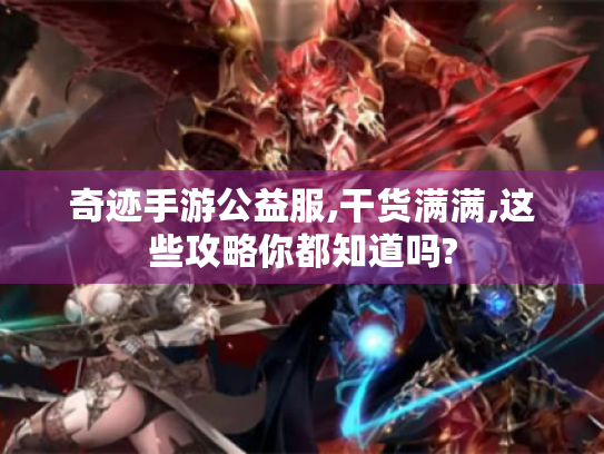 奇迹手游公益服,干货满满,这些攻略你都知道吗? 奇迹手游公益服,干货满满,这些攻略你都知道吗?