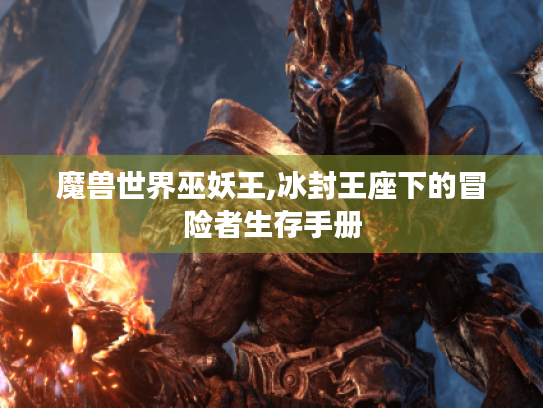 魔兽世界巫妖王,冰封王座下的冒险者生存手册 魔兽世界巫妖王,冰封王座下的冒险者生存手册