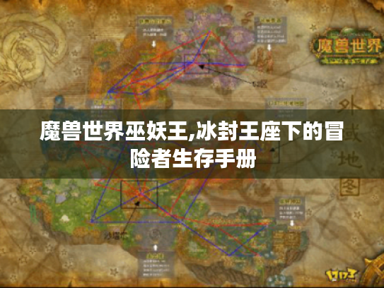 魔兽世界巫妖王,冰封王座下的冒险者生存手册 魔兽世界巫妖王,冰封王座下的冒险者生存手册