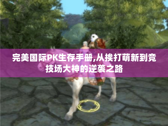 完美国际PK生存手册,从挨打萌新到竞技场大神的逆袭之路 完美国际PK生存手册,从挨打萌新到竞技场大神的逆袭之路
