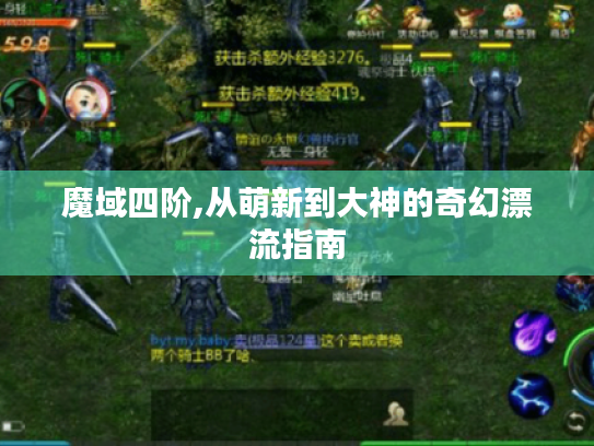 魔域四阶,从萌新到大神的奇幻漂流指南 魔域四阶,从萌新到大神的奇幻漂流指南