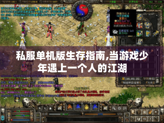 私服单机版生存指南,当游戏少年遇上一个人的江湖 私服单机版生存指南,当游戏少年遇上一个人的江湖