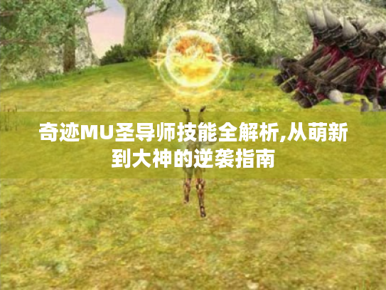 奇迹MU圣导师技能全解析,从萌新到大神的逆袭指南 奇迹MU圣导师技能全解析,从萌新到大神的逆袭指南