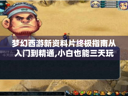 梦幻西游新资料片终极指南从入门到精通,小白也能三天玩转新版本! 梦幻西游新资料片终极指南从入门到精通,小白也能三天玩转新版本!