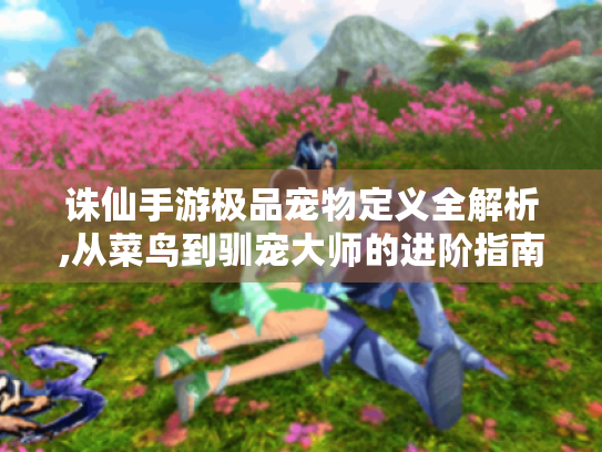 诛仙手游极品宠物定义全解析,从菜鸟到驯宠大师的进阶指南 诛仙手游极品宠物定义全解析,从菜鸟到驯宠大师的进阶指南