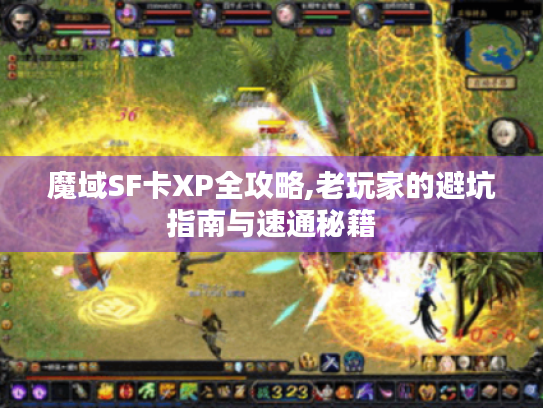 魔域SF卡XP全攻略,老玩家的避坑指南与速通秘籍 魔域SF卡XP全攻略,老玩家的避坑指南与速通秘籍
