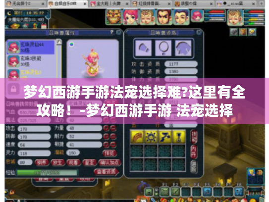 梦幻西游手游法宠选择难?这里有全攻略!-梦幻西游手游 法宠选择 梦幻西游手游法宠选择难?这里有全攻略!-梦幻西游手游 法宠选择