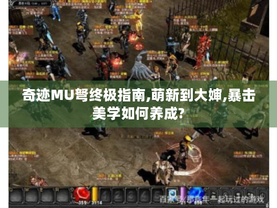 奇迹MU弩终极指南,萌新到大婶,暴击美学如何养成? 奇迹MU弩终极指南,萌新到大婶,暴击美学如何养成?