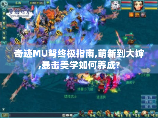 奇迹MU弩终极指南,萌新到大婶,暴击美学如何养成? 奇迹MU弩终极指南,萌新到大婶,暴击美学如何养成?