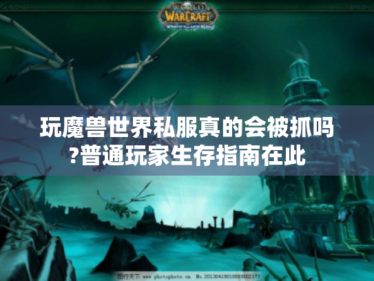 玩魔兽世界私服真的会被抓吗?普通玩家生存指南在此 玩魔兽世界私服真的会被抓吗?普通玩家生存指南在此