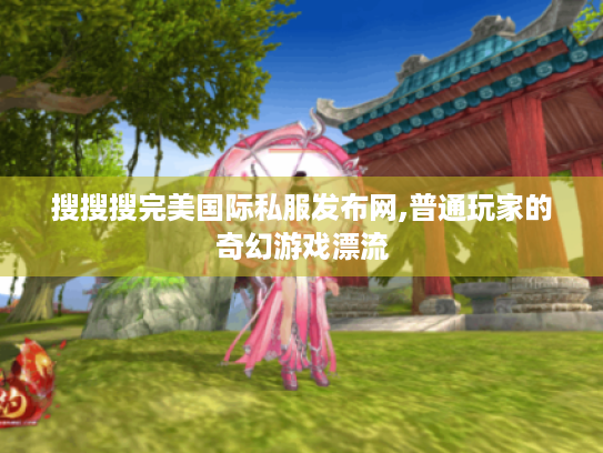 搜搜搜完美国际私服发布网,普通玩家的奇幻游戏漂流 搜搜搜完美国际私服发布网,普通玩家的奇幻游戏漂流