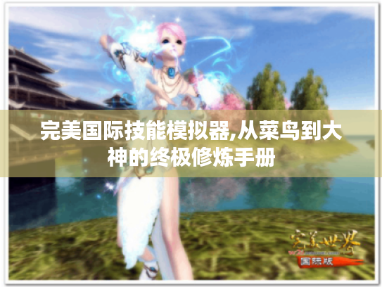 完美国际技能模拟器,从菜鸟到大神的终极修炼手册