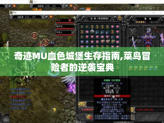 奇迹MU血色城堡生存指南,菜鸟冒险者的逆袭宝典 奇迹MU血色城堡生存指南,菜鸟冒险者的逆袭宝典