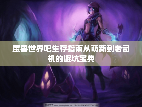 魔兽世界吧生存指南从萌新到老司机的避坑宝典 魔兽世界吧生存指南从萌新到老司机的避坑宝典