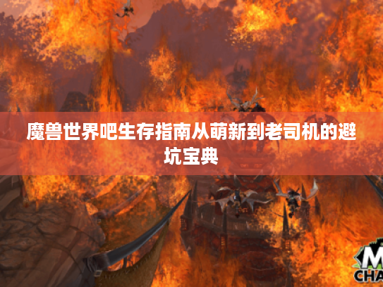 魔兽世界吧生存指南从萌新到老司机的避坑宝典 魔兽世界吧生存指南从萌新到老司机的避坑宝典