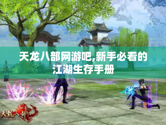 天龙八部网游吧,新手必看的江湖生存手册 天龙八部网游吧,新手必看的江湖生存手册