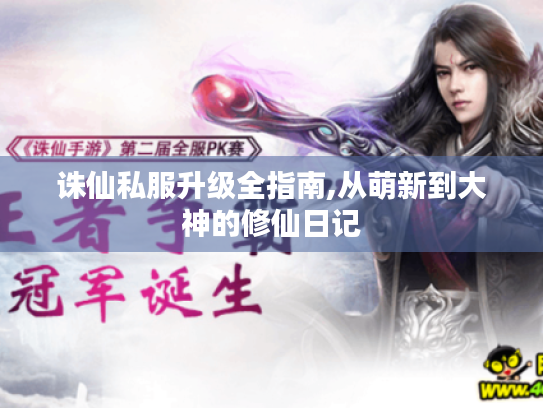 诛仙私服升级全指南,从萌新到大神的修仙日记 诛仙私服升级全指南,从萌新到大神的修仙日记