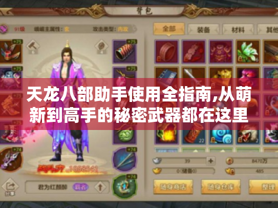 天龙八部助手使用全指南,从萌新到高手的秘密武器都在这里! 天龙八部助手使用全指南,从萌新到高手的秘密武器都在这里!