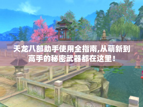 天龙八部助手使用全指南,从萌新到高手的秘密武器都在这里! 天龙八部助手使用全指南,从萌新到高手的秘密武器都在这里!