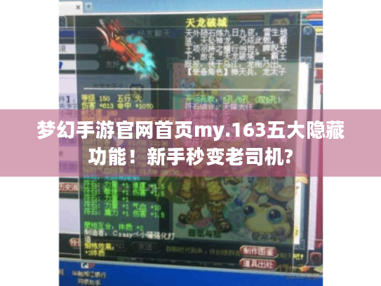 梦幻手游官网首页my.163五大隐藏功能!新手秒变老司机? 梦幻手游官网首页my.163五大隐藏功能!新手秒变老司机?