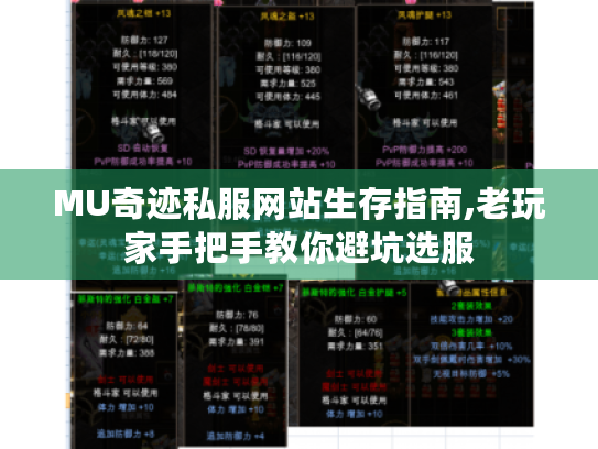 MU奇迹私服网站生存指南,老玩家手把手教你避坑选服 MU奇迹私服网站生存指南,老玩家手把手教你避坑选服