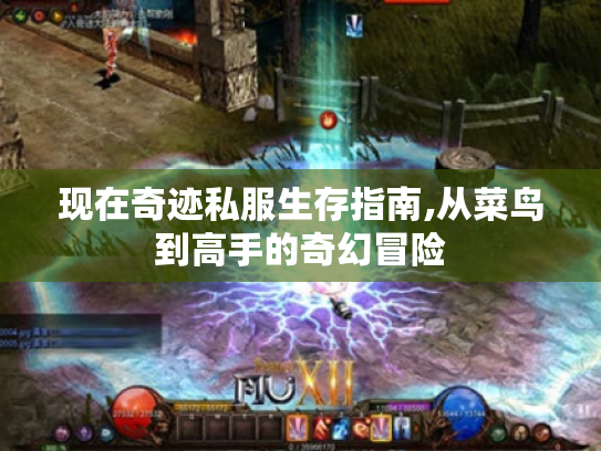 现在奇迹私服生存指南,从菜鸟到高手的奇幻冒险