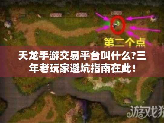 天龙手游交易平台叫什么?三年老玩家避坑指南在此！