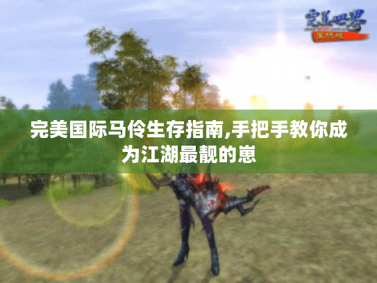 完美国际马伶生存指南,手把手教你成为江湖最靓的崽 完美国际马伶生存指南,手把手教你成为江湖最靓的崽
