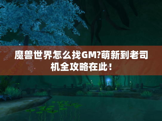 魔兽世界怎么找GM?萌新到老司机全攻略在此! 魔兽世界怎么找GM?萌新到老司机全攻略在此!