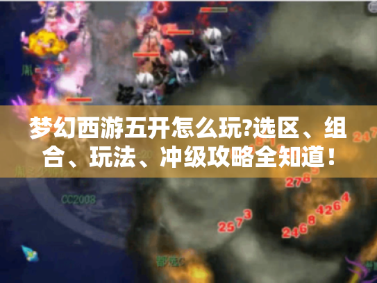 梦幻西游五开怎么玩?选区、组合、玩法、冲级攻略全知道! 梦幻西游五开怎么玩?选区、组合、玩法、冲级攻略全知道!