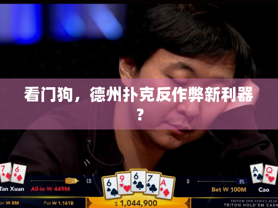 看门狗，德州扑克反作弊新利器？