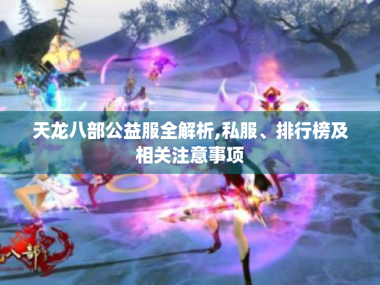 天龙八部公益服全解析,私服、排行榜及相关注意事项 天龙八部公益服全解析,私服、排行榜及相关注意事项
