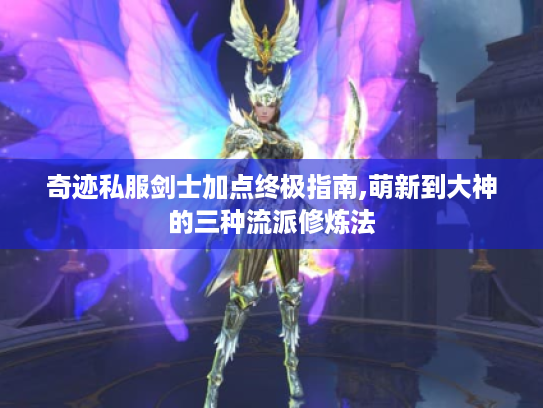 奇迹私服剑士加点终极指南,萌新到大神的三种流派修炼法