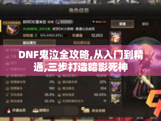 DNF鬼泣全攻略,从入门到精通,三步打造暗影死神